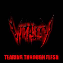 Vitality (USA) : Tearing Through Flesh